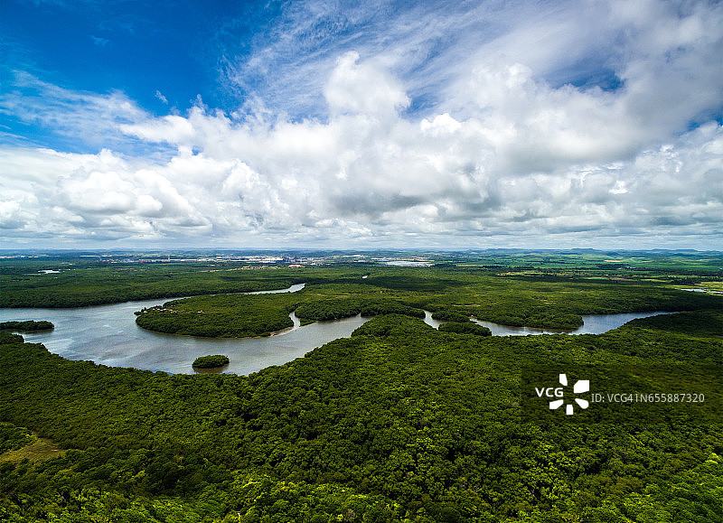 航空拍摄的亚马逊雨林在巴西，南美图片素材