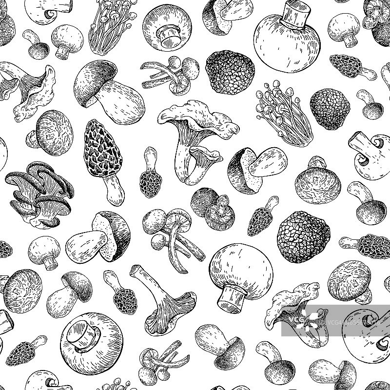 蘑菇手工绘制矢量seamlees模式。孤立素描食物绘画背景。图片素材