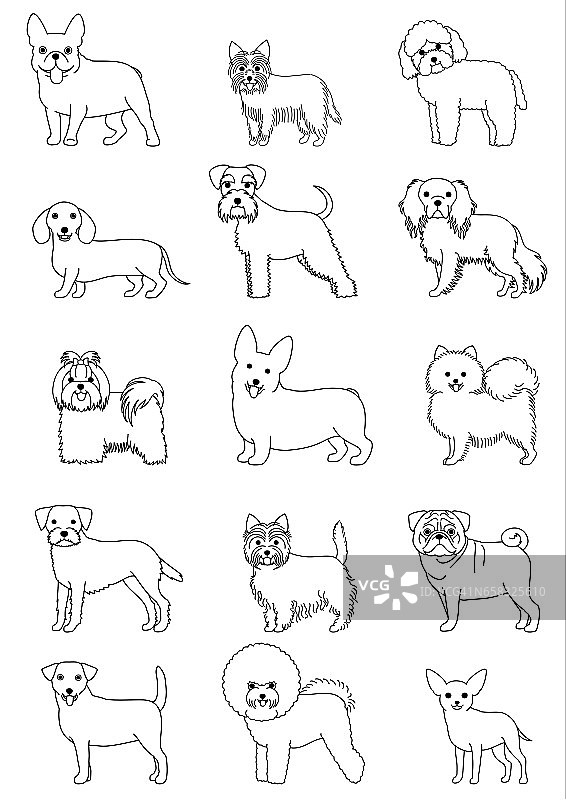 小型犬品种线艺术集图片素材