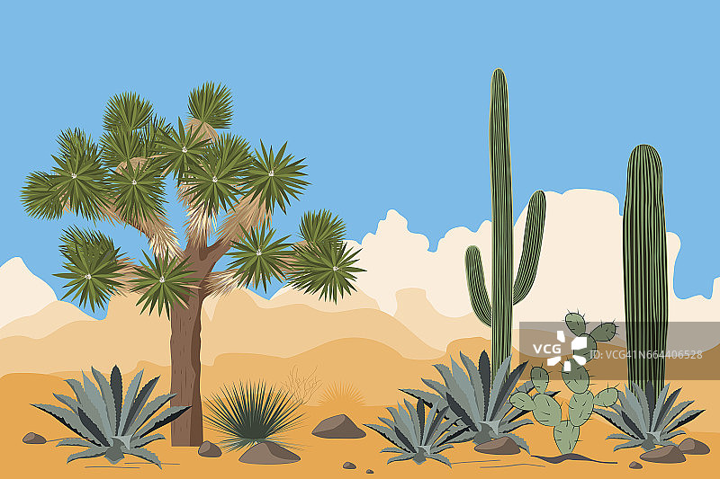 沙漠格局与约书亚树，仙人掌，龙舌兰，和撒瓜罗仙人掌。山的背景。图片素材