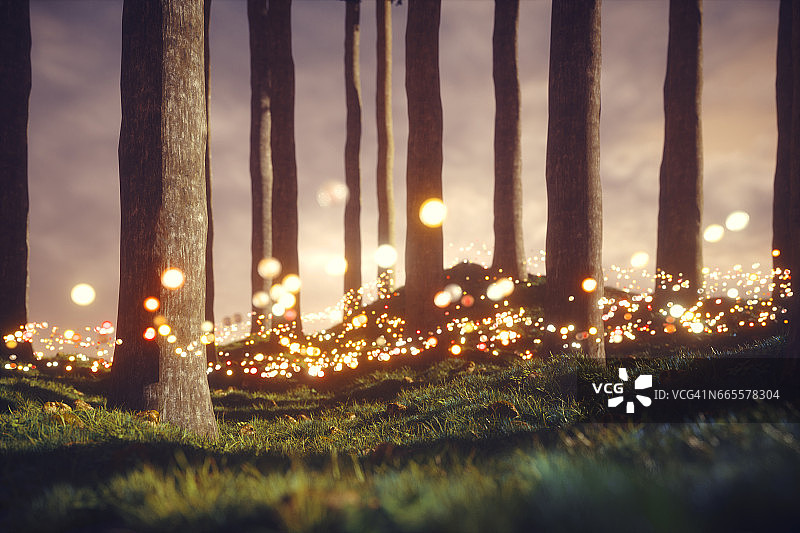 神秘的森林与发光的球图片素材