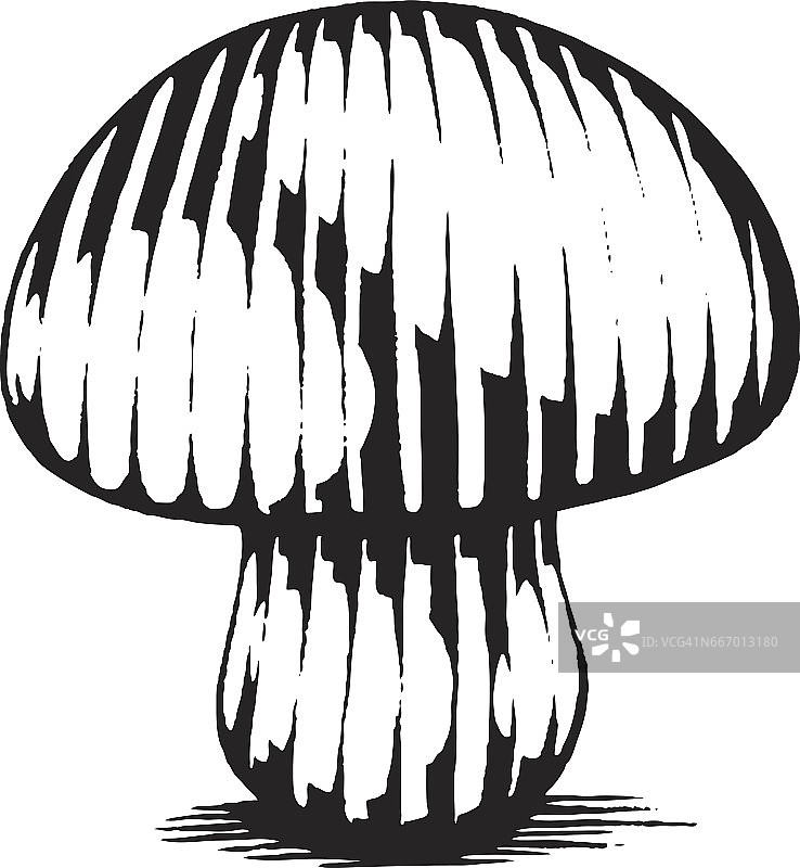 矢量墨水素描的蘑菇图片素材