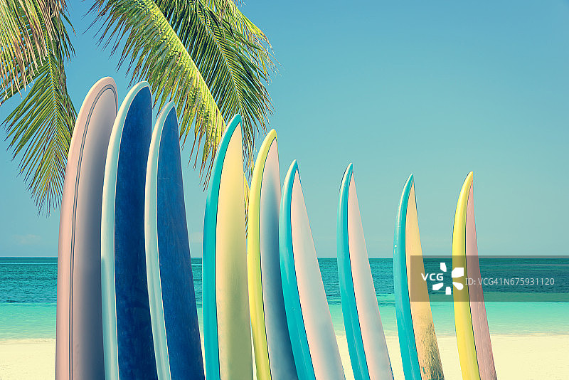 五颜六色的冲浪板堆叠在一个热带海滩上的棕榈树，复古复古的过滤器图片素材