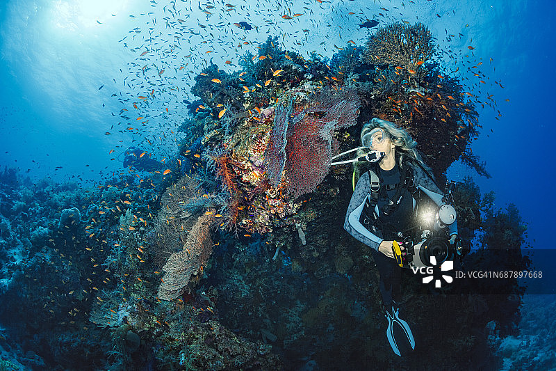潜水者正在探索和享受珊瑚礁海洋生命运动女性水下摄影师图片素材