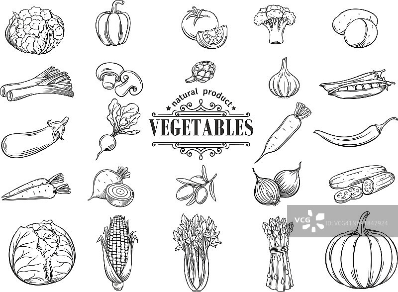 矢量手绘蔬菜图标集。装饰图片素材