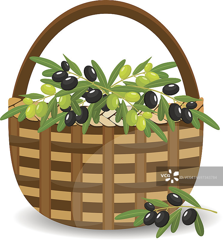 篮子里有绿橄榄和黑橄榄，单独放在白橄榄上。矢量插图。图片素材