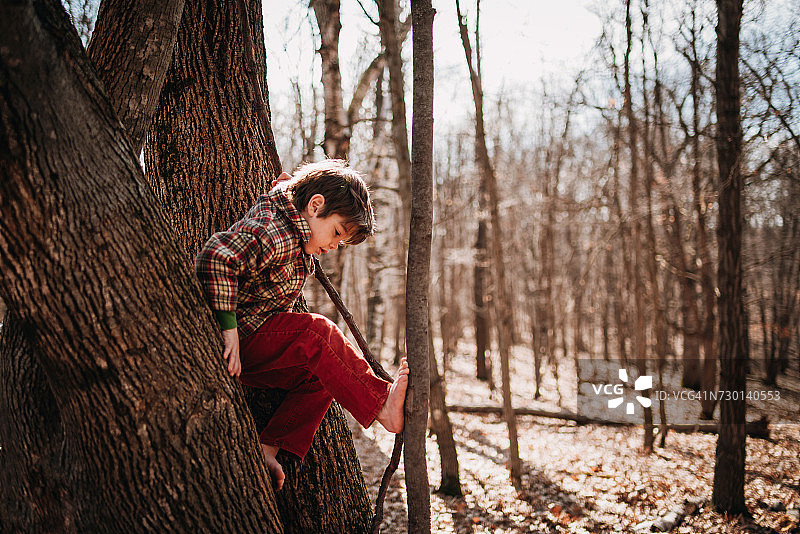 男孩在爬树图片素材