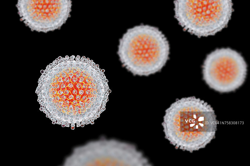 丙型肝炎病毒颗粒，插图图片素材