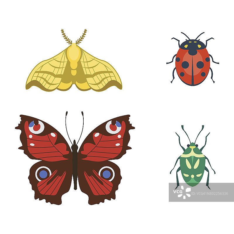彩色昆虫图标孤立的野生动物翅膀细节夏季昆虫野生矢量插图图片素材