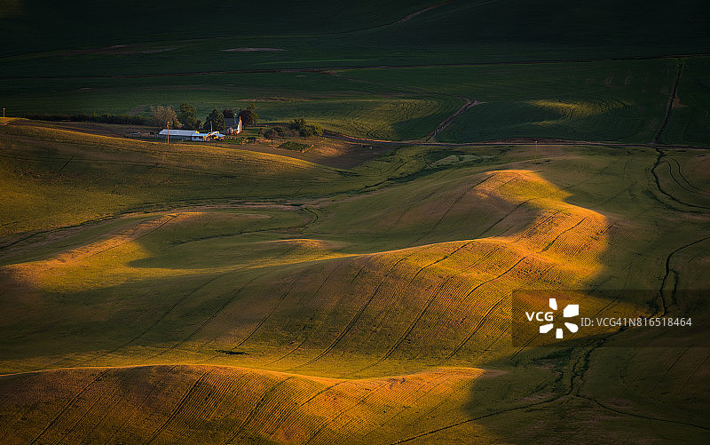 清晨的麦田，帕卢斯山图片素材