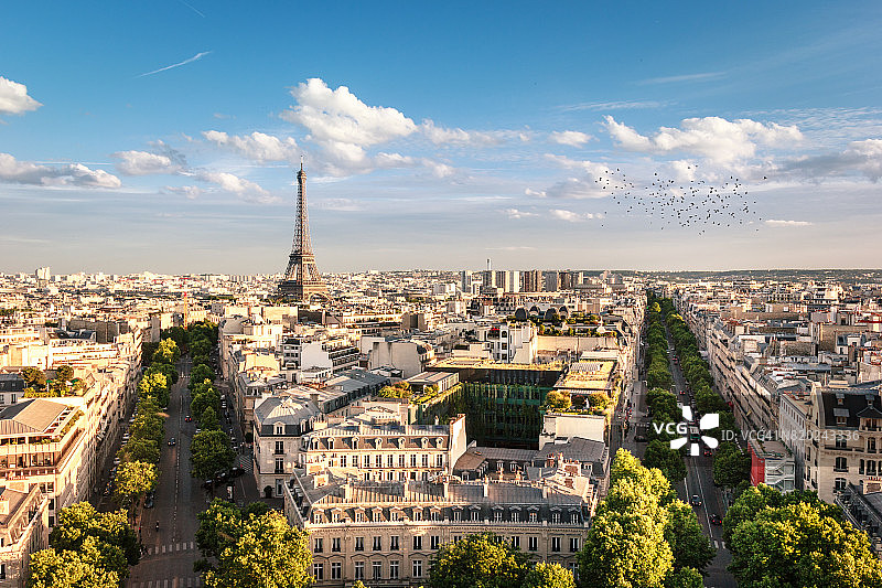 法国巴黎，树木之间的埃菲尔铁塔图片素材