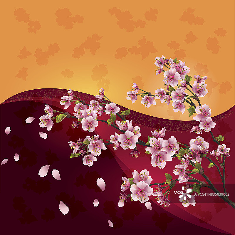 樱花-日本樱桃树在明亮多彩的背景图片素材