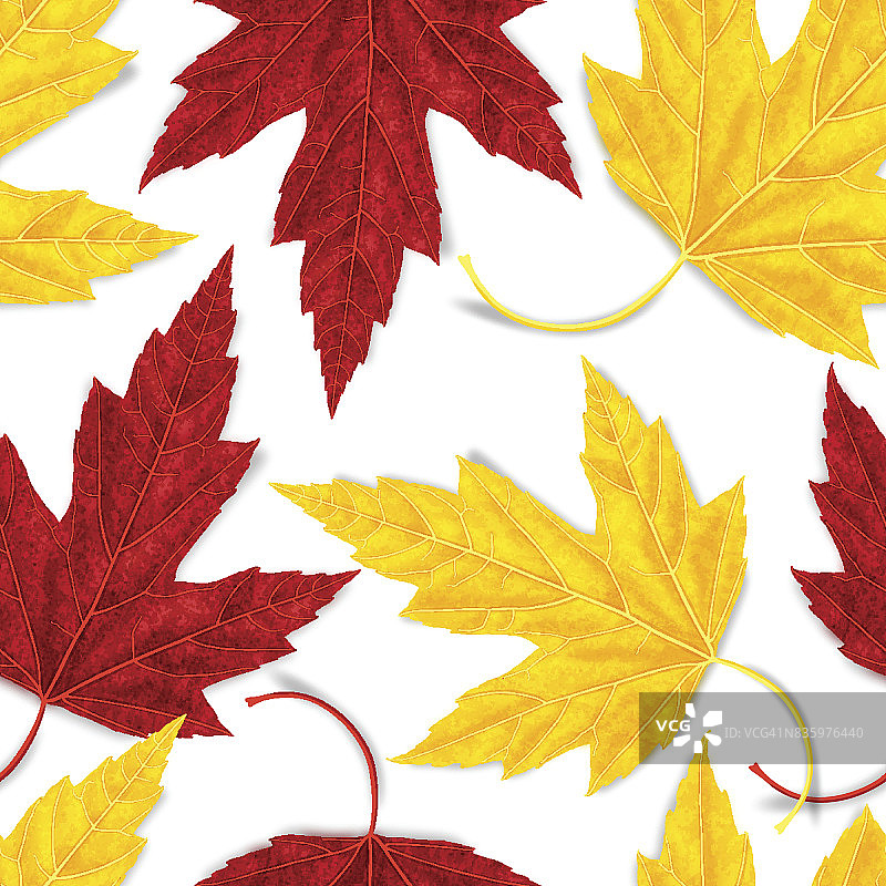 枫叶无缝矢量图案的秋天图片素材