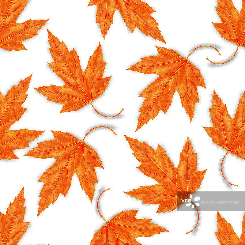 枫叶无缝矢量图案的秋天图片素材