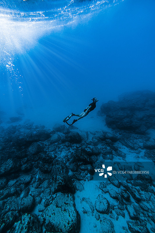 男子在费尔南多·迪诺罗尼亚自由潜水图片素材