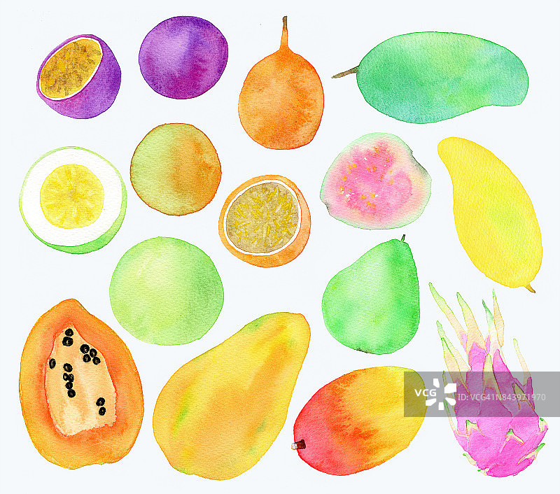奇异水果-水彩插图图片素材