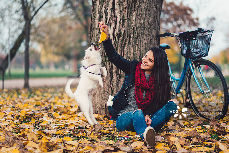 一个十几岁的女孩在秋天的公园里和她的狗玩图片素材