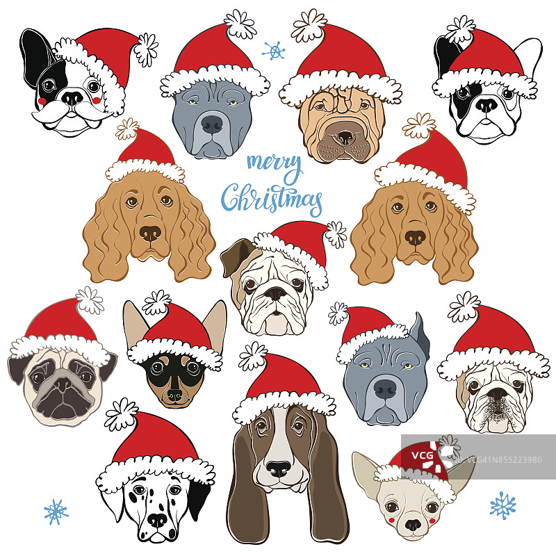 向量集的狗的脸在圣诞老人的帽子。狗是2018年新年的动物象征。在白色背景上手绘孤立的元素。10种不同的狗品种。图片素材