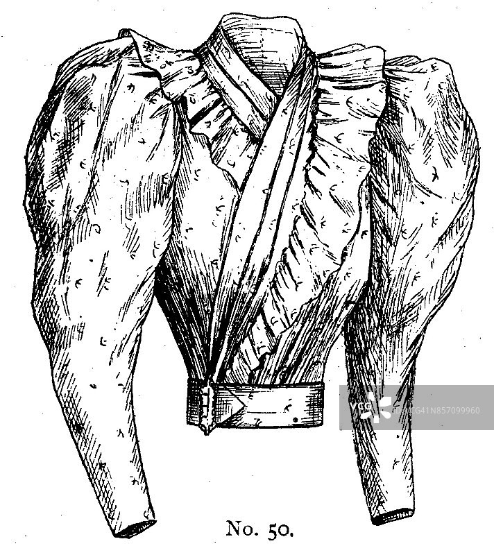 19世纪女士们的褶边、高领羊腿袖上衣是时尚餐盘;维多利亚时代的服装和最新时装1893年图片素材