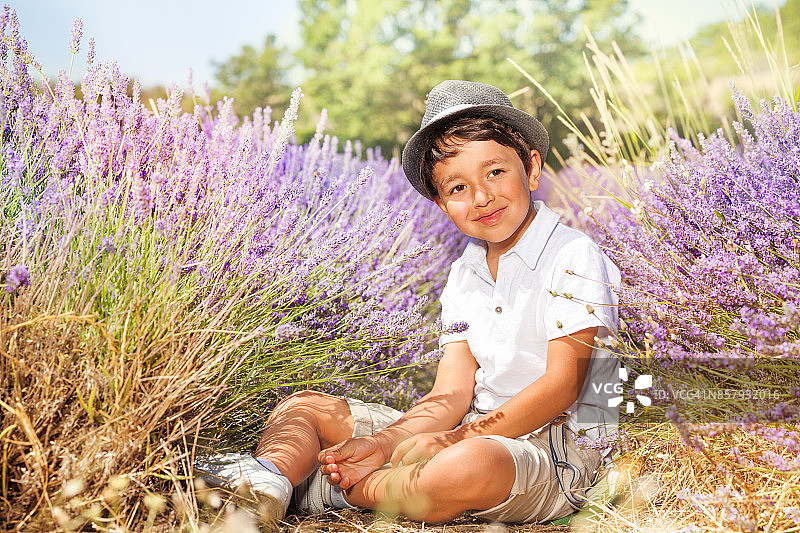 小男孩戴着帽子，坐在薰衣草地里图片素材