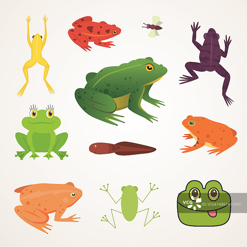 异国情调的两栖动物。青蛙在不同风格的卡通矢量插图孤立。热带的动物图片素材
