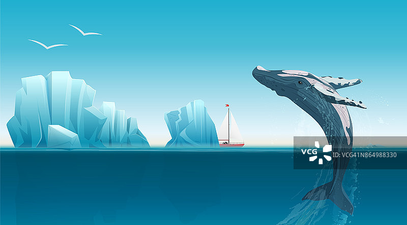 卡片模板与鲸鱼跳跃下的蓝色海洋表面附近的冰山。冬季北极矢量图。冰岛。图片素材