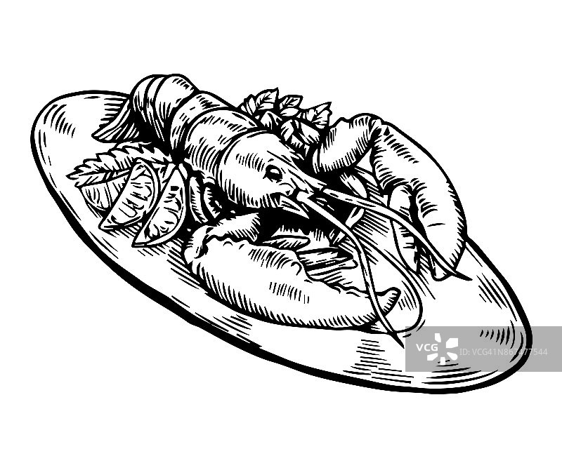复古龙虾手绘食物插图图片素材