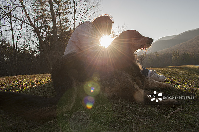 剪影的成年妇女坐在草地上，她的狗在她的身边图片素材