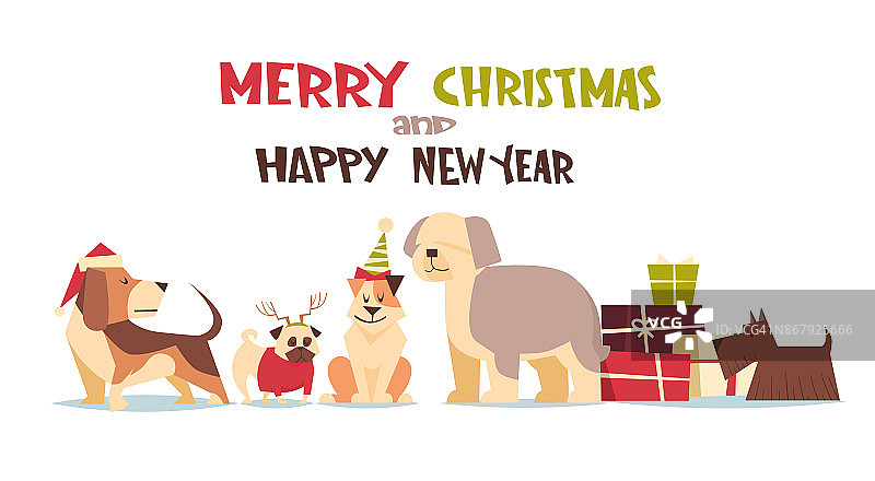 可爱的狗在圣诞老人的帽子孤立在白色的礼物盒圣诞快乐和新年快乐海报设计图片素材