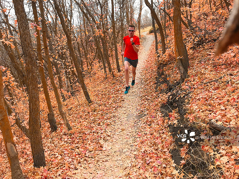 秋天树林里的奔跑者图片素材
