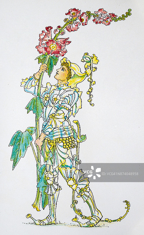 古董插图的人性化花卉和植物:蜀葵图片素材