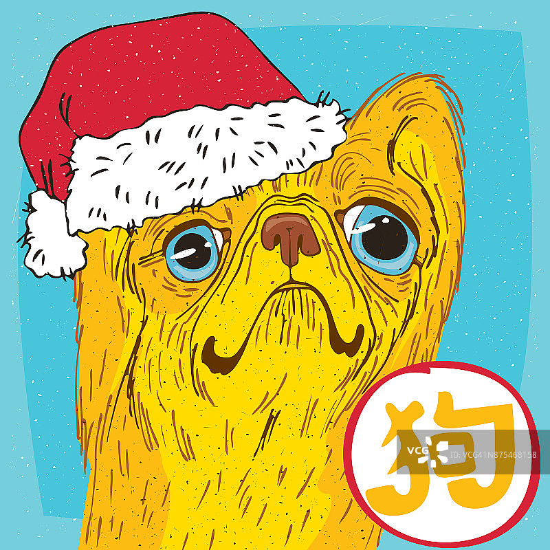 北京狗或狮子狗戴着圣诞老人的帽子图片素材