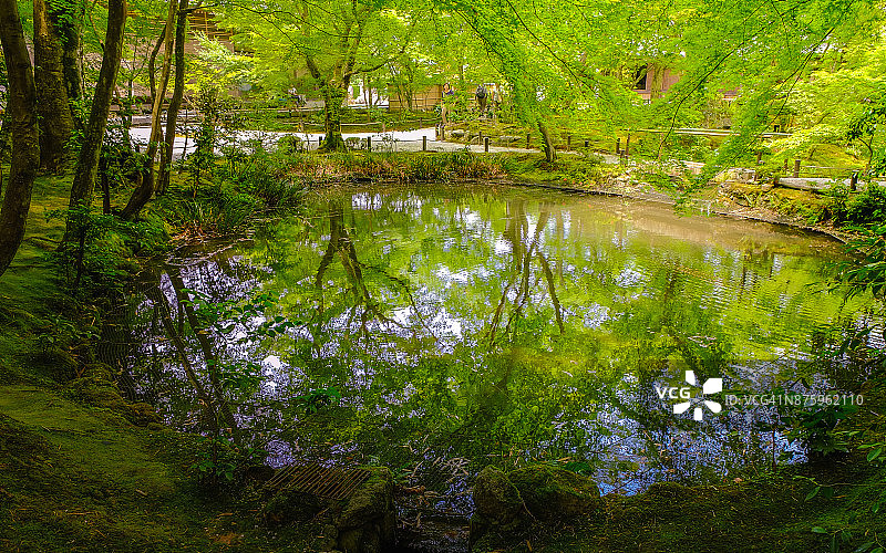 在日本京都的一个公共自然公园里的一个日本花园的夏季风景图片素材