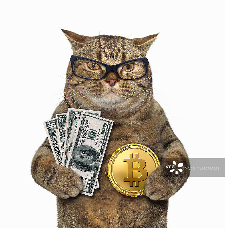 猫与比特币和美元图片素材