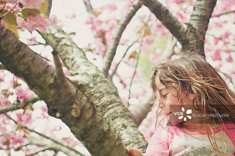 一个年轻的女孩在一棵樱花树上微笑。图片素材