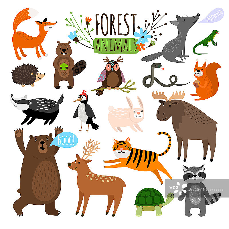 森林动物组图片素材