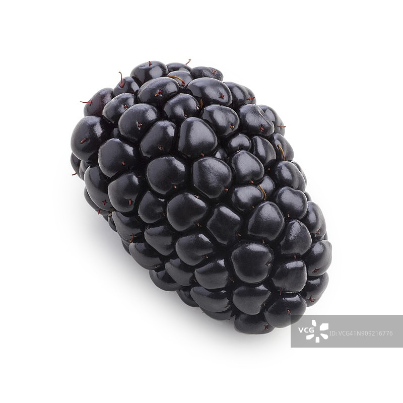 黑莓图片素材