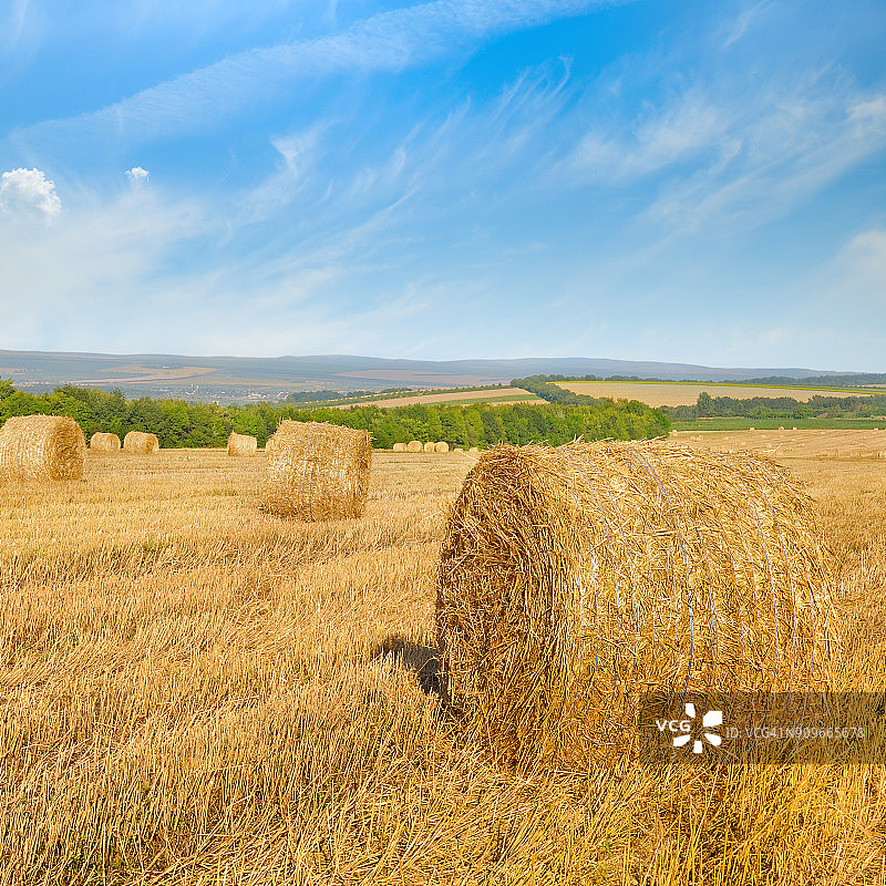 麦田里的稻草捆和蓝天。农业景观。图片素材