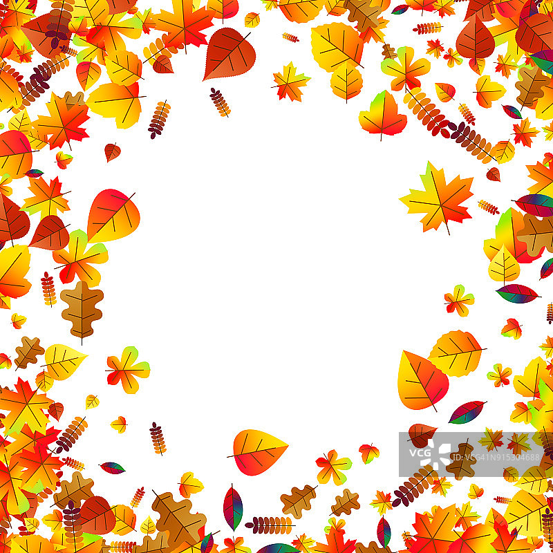 秋叶散落的背景。橡树、枫木和花楸图片素材