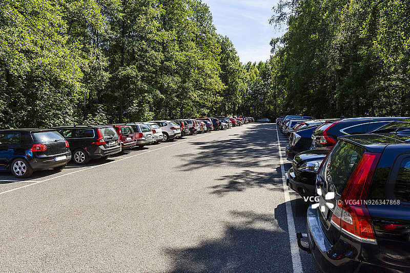 在森林停车场排成长队的汽车图片素材