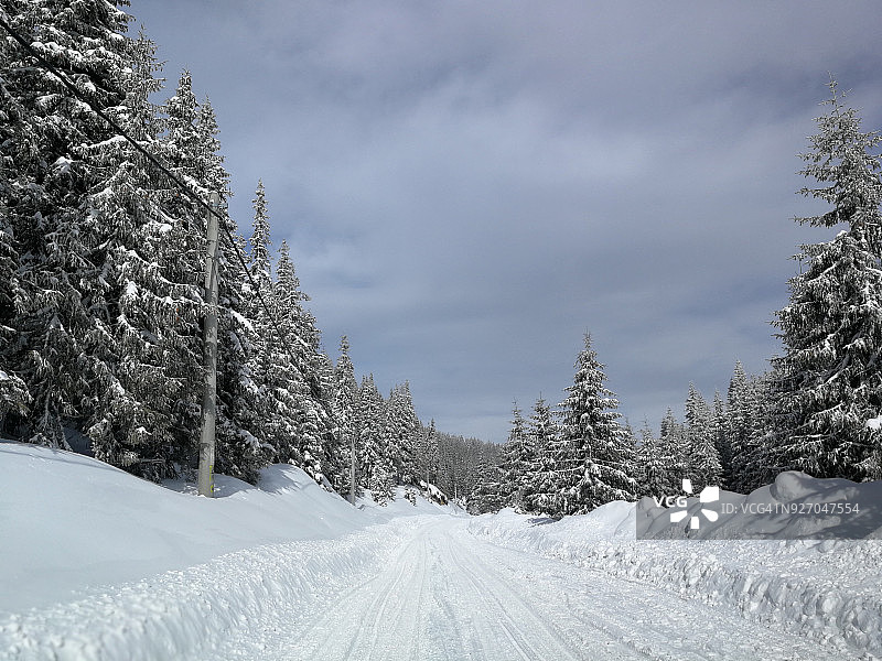 罗马尼亚特兰西瓦尼亚的山路上覆盖着积雪图片素材