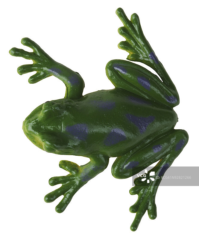 塑料青蛙图片素材