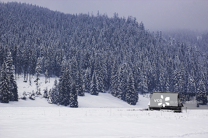 一座孤零零的木屋矗立在白雪皑皑的山谷中，背后是一座山，雾中是一片白雪覆盖的松林图片素材