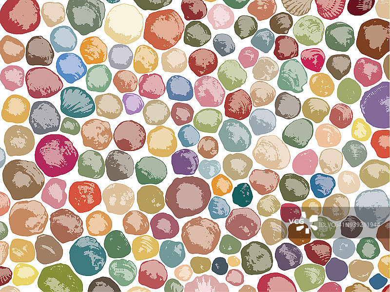 海贝壳为基础的有机模式，在柔和的颜色图片素材