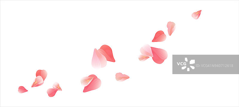 粉红色的花瓣孤立在白色的背景上。花瓣呈心形。向量图片素材