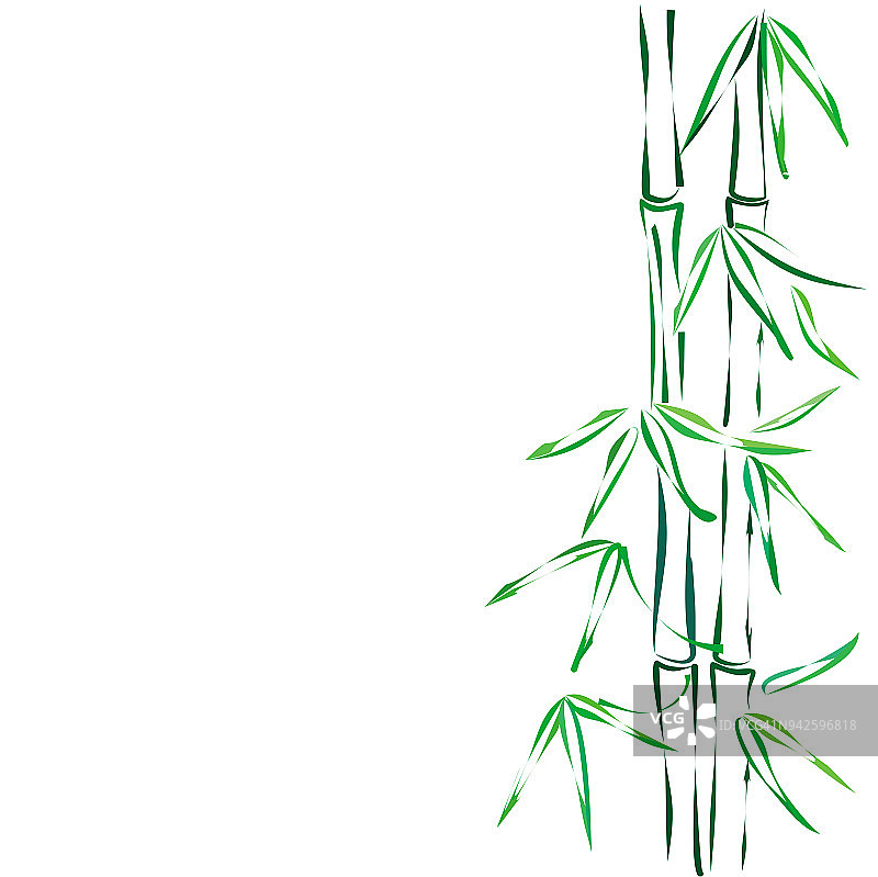 竹子,向量草图。图片素材