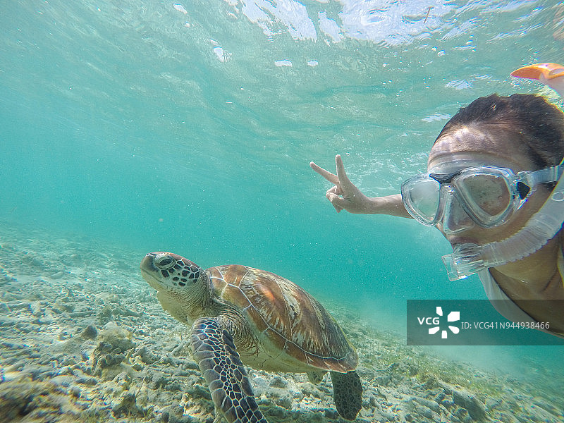 年轻女子与绿海龟水下自拍，度假夏季概念图片素材