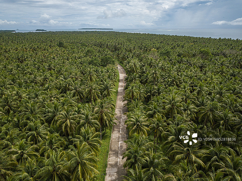 无人机拍摄的菲律宾棕榈树和道路图片素材