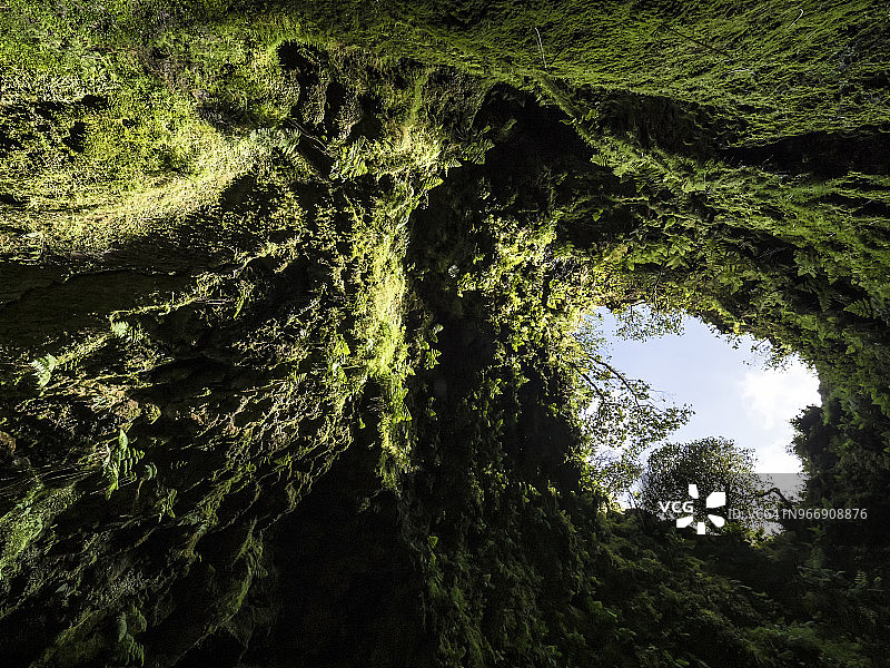 火山洞穴，从一个巨大的洞形井内观看潮湿的森林。图片素材