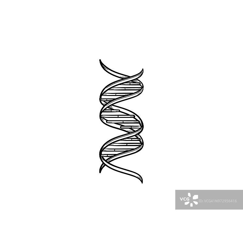 DNA基因链手绘轮廓涂鸦图标图片素材